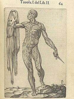Valverde — Historia plate, 1556